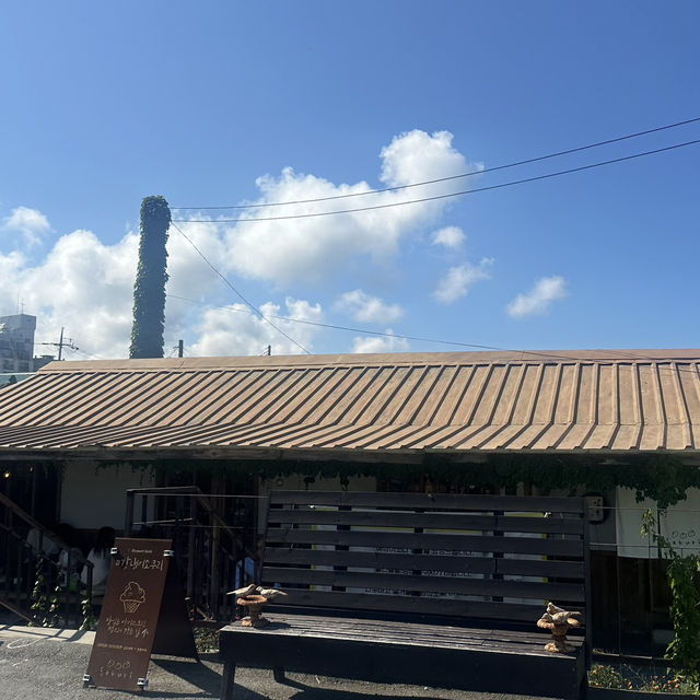 《江陵》🏝️ 江陵に行ったら絶対食べて🫶🏻オススメソフトクリーム🍦sokuri