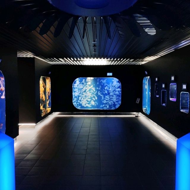 【千葉】雨でも楽しめる水族館