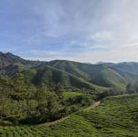 🇲🇾 Brinchang, Cameron Highlands : 2D1N Escape