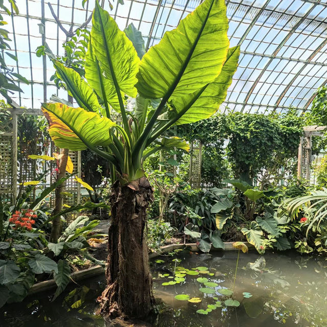 劍橋大學植物園🛟全面瞭解大自然的鬼斧神工