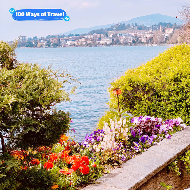 Blossoming Beauty in Montreux: A Lakeside Symphony
