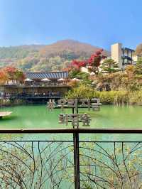 🌳🏠사진명소 곤지암 화담숲 가을에 추천해요💛