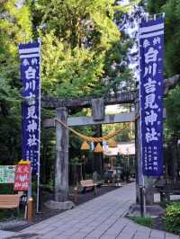 【白川水源:熊本県阿蘇群】透き通った美味しい湧き水を汲める場所✨