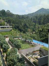 stay with view