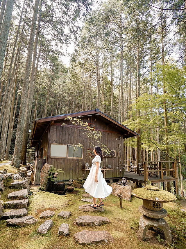 📍ギャラリー喫茶 苔筵