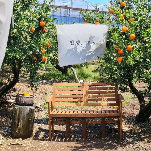 힐링이 필요할 때 자연과 함께하는 시간으로 제주가 딱!!