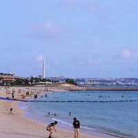 🌊江田海岸🏯美麗海景🏖️