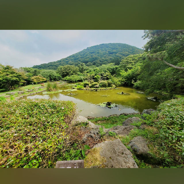 Jeolmul Natural Recreation Forest