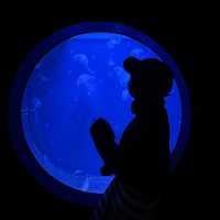 ケアンズ水族館