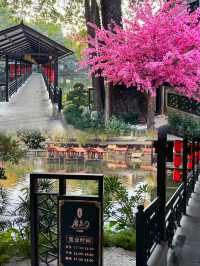 Eat Like a Local: Authentic Cantonese Dining at Tang Lee Food Art with Scenic Views