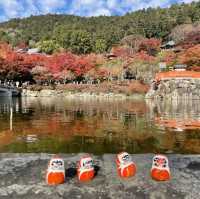 日本大阪勝尾寺、箕面公園賞楓