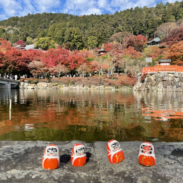 日本大阪勝尾寺、箕面公園賞楓