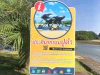 ประติมากรรมปูดำ Landmark จ.กระบี่