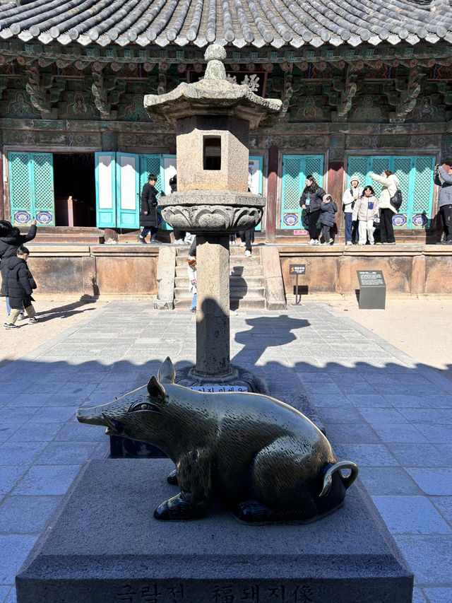 🇰🇷慶洲✈️世界文化遺產「佛國寺불국사」🍁