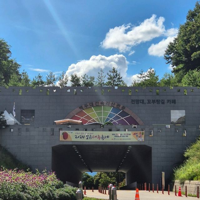 💫시원한 바람을 맞으며 자연을 느낄 수 있는 말티재전망대💫