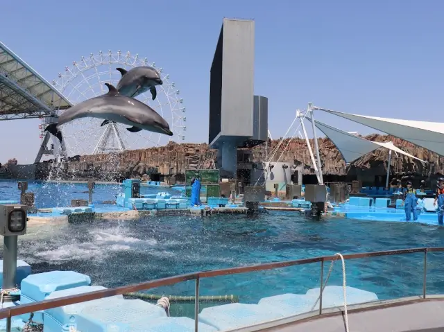 名古屋夏の避暑地「名古屋港水族館」。