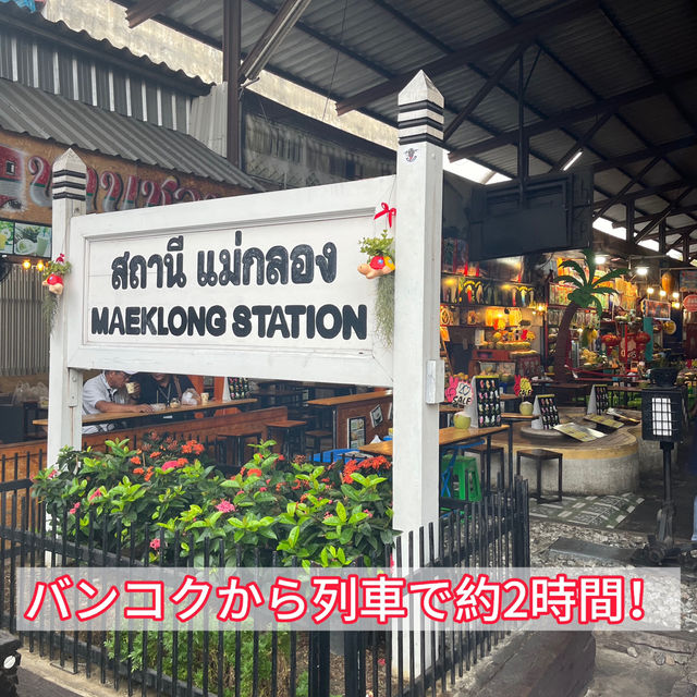 【タイ🇹🇭】露店すれすれを電車が通る！？メークロン市場