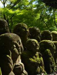 【京都観光】かわいい羅漢像がいっぱい！「愛宕念仏寺」⛩️🗿
