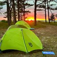 Camping Experience at Assateague Island