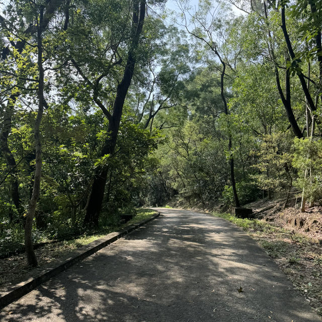 大欖郊野公園·香港徒步🇭🇰·老少咸宜·Happy