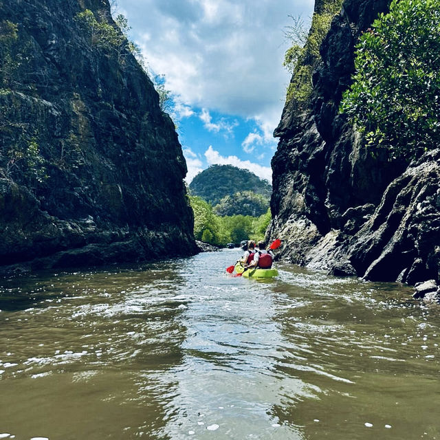 Kayaking Through the Mangroves of Kilim Geoforest Park