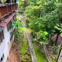 กิจกรรมสุดอลังการ เดอะจังเกิ้ล โป่งแยง (The Jungle
