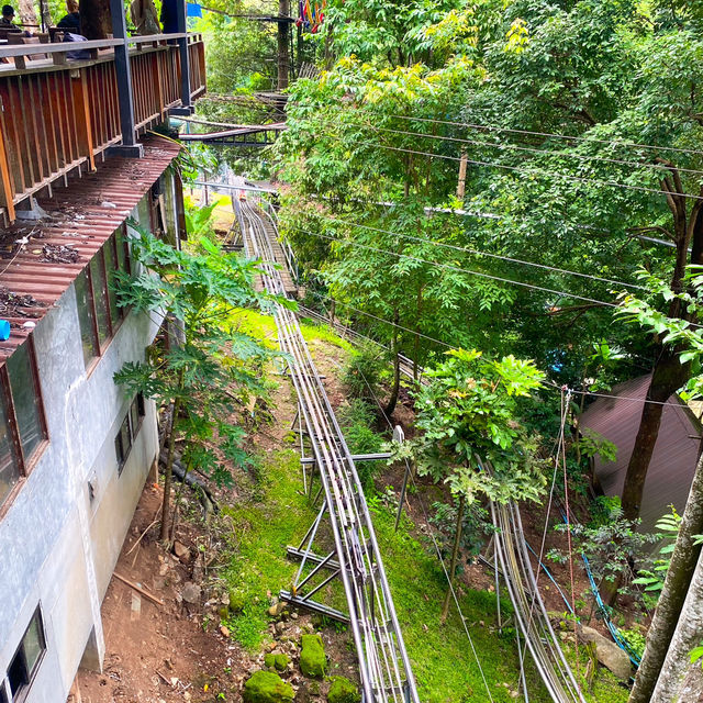 กิจกรรมสุดอลังการ เดอะจังเกิ้ล โป่งแยง (The Jungle