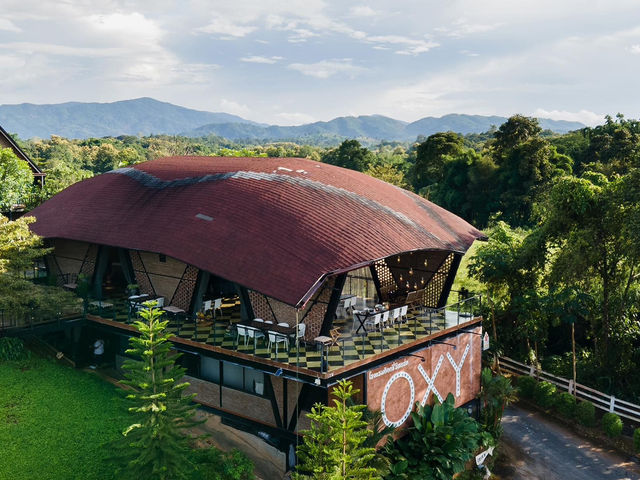 OXY Resort