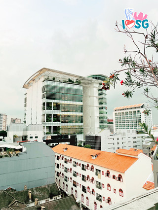 🇸🇬 Berry welcome to National Library of Singapore