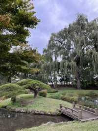 【佐久市】まるで日本庭園！？無料で楽しむ中嶋公園🌳