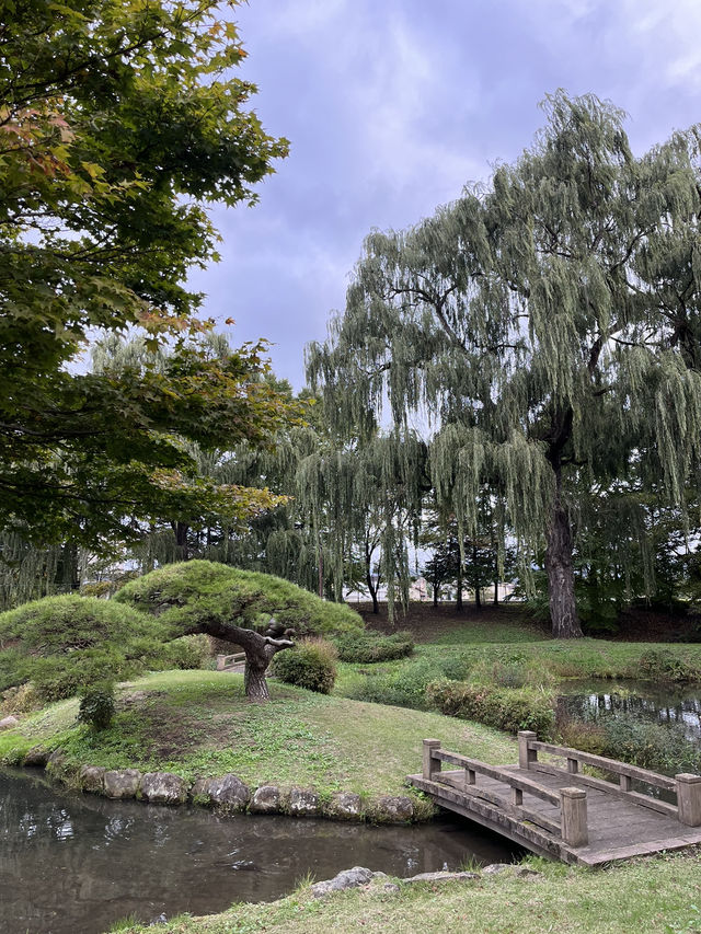 【佐久市】まるで日本庭園！？無料で楽しむ中嶋公園🌳