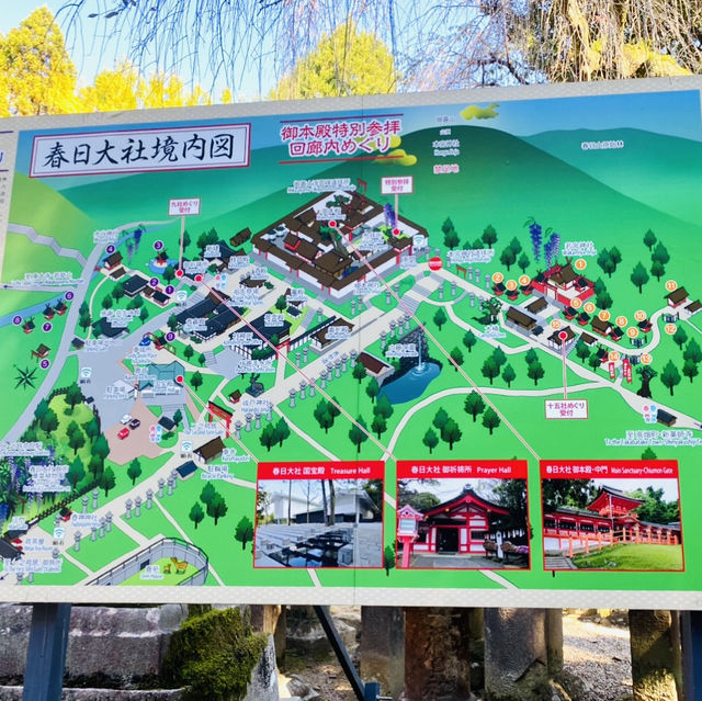 奈良°ㅣ原始森林中的千年神社ㅣ被鹿包圍的春日大社