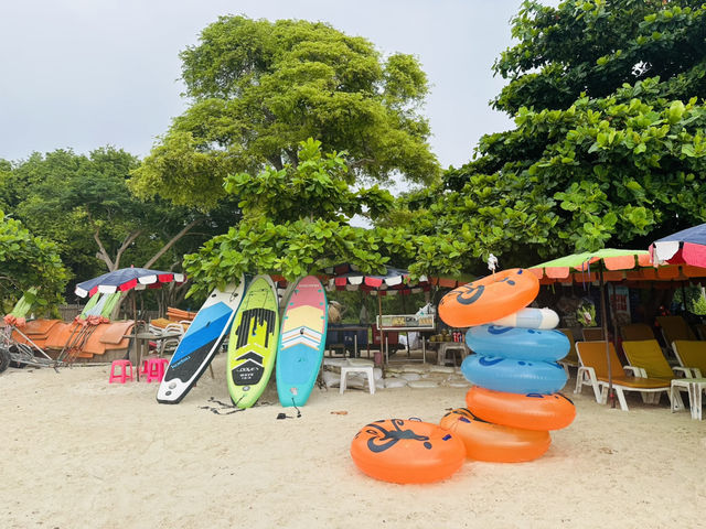 ชวนไปถ่ายรูปกับฝูงน้องห่านที่หาดเทียน