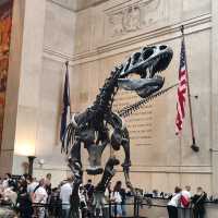 Discovering Wonders at the American Museum of Natural History 🦖✨
