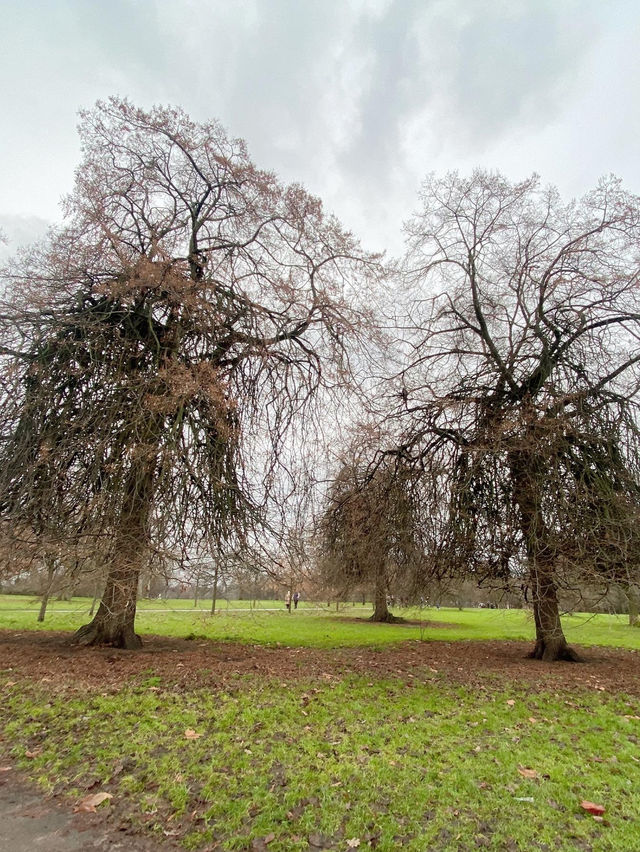 🌳 Relax and Recharge at Hyde Park 🌳