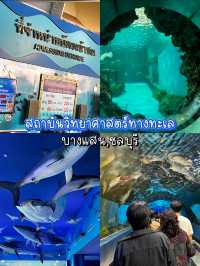 🐠 แนะนำสถาบันวิทยาศาสตร์ทางทะเลบางแสน,ชลบุรี