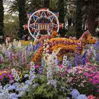 Nature's Palette: Discovering the Latest Blooms at Gardens by the Bay