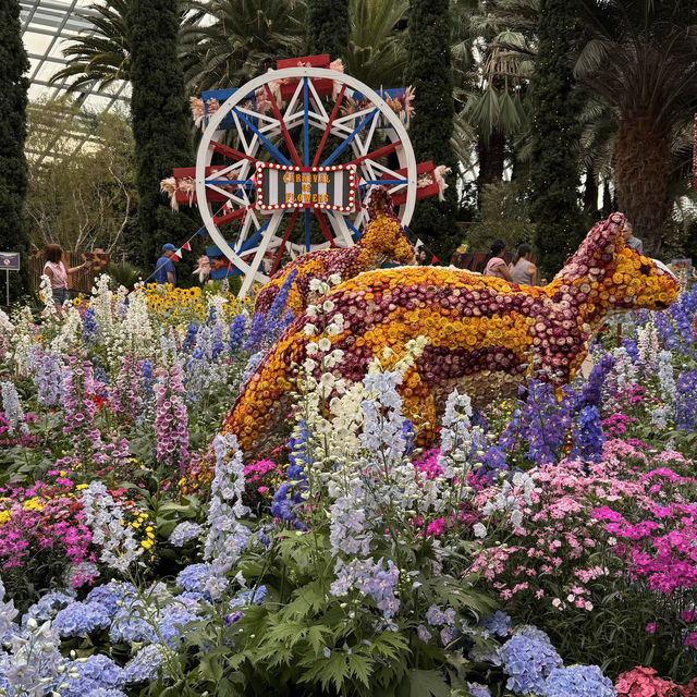 Nature's Palette: Discovering the Latest Blooms at Gardens by the Bay