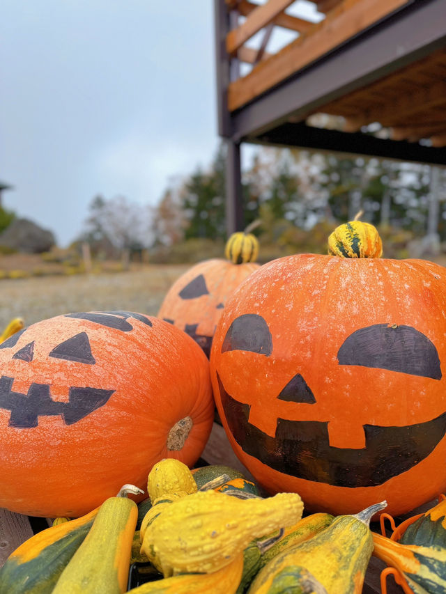 【群馬】ハロウィン仕様なスキー場🎃で足湯を楽しもう♨️