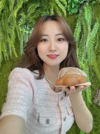 동굴에서 거북이빵 먹을 수 있는 카페