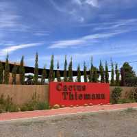 Cactus Thiemann 🌵仙人掌園