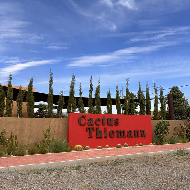 Cactus Thiemann 🌵仙人掌園
