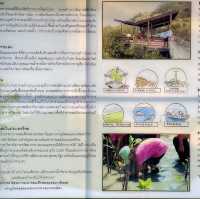 โครงการอนุรักษ์ระบบนิเวศป่าชายเลนไกรลาศนิเวศ 
