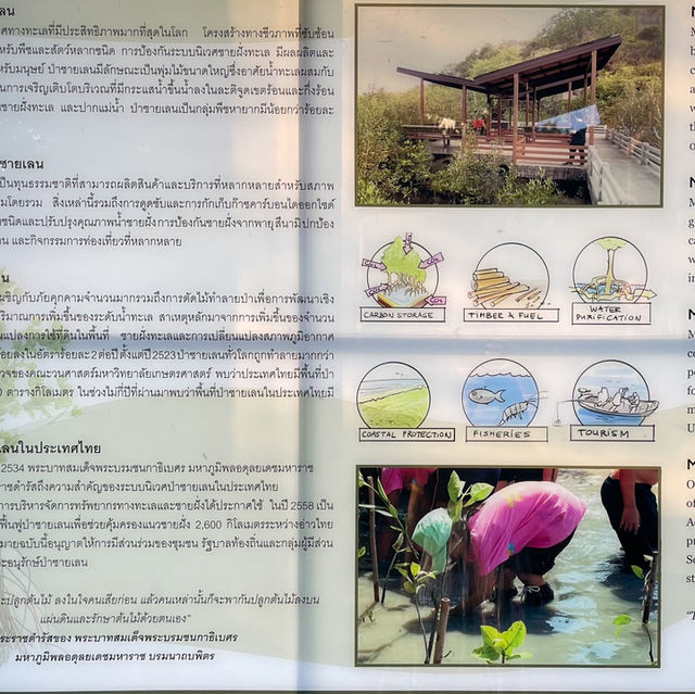 โครงการอนุรักษ์ระบบนิเวศป่าชายเลนไกรลาศนิเวศ 