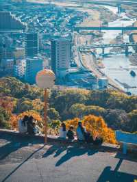景點推薦：五月山公園——遠眺城市全景的隱藏秘境