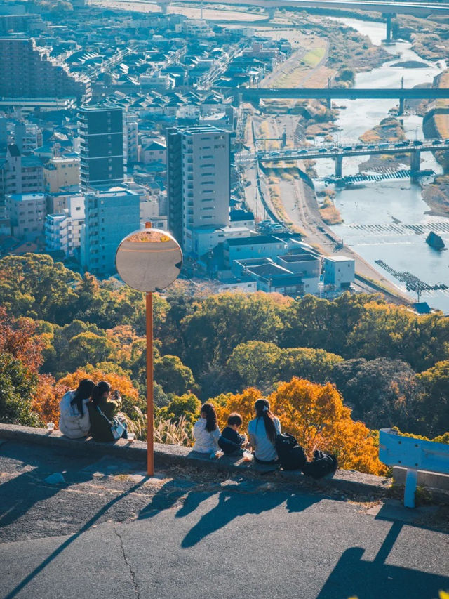 景點推薦：五月山公園——遠眺城市全景的隱藏秘境