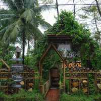 คาเฟ่บ้านไม้กลางป่าสุดกรีน