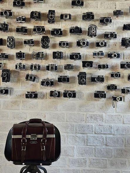 Slole Cafe & Garden📷📹