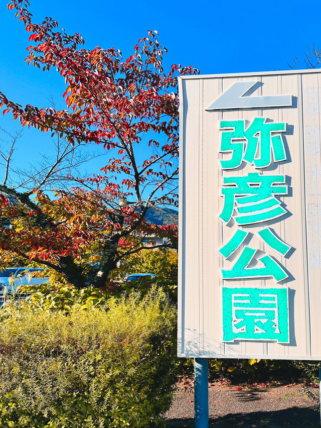 駅からすぐのもみじ谷【新潟/弥彦】