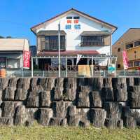 【延岡】漁師さん経営✨ 直前まで活きている魚介が味わえる宿✨